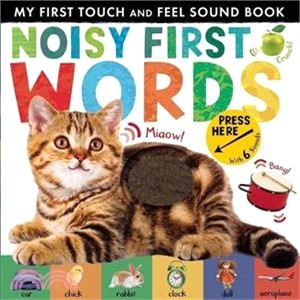 Noisy First Words : My First Touch and Feel Sound Book (精裝本)