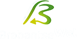 Logo Brabantse Wal