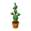 Cactus NL Model.png