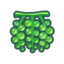 Sea Grapes NH Icon.png