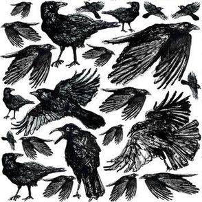 A Murder of Crows - Medium