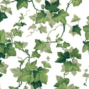 English Ivy ~ Bright 