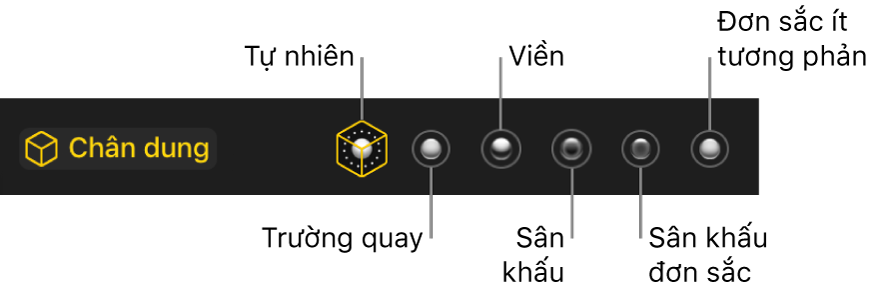 Các lựa chọn hiệu ứng chiếu sáng ở chế độ Chân dung, bao gồm (từ trái sang phải) Tự nhiên, Trường quay, Diễn biến, Sân khấu, Sân khấu đơn sắc và Đơn sắc ít tương phản.