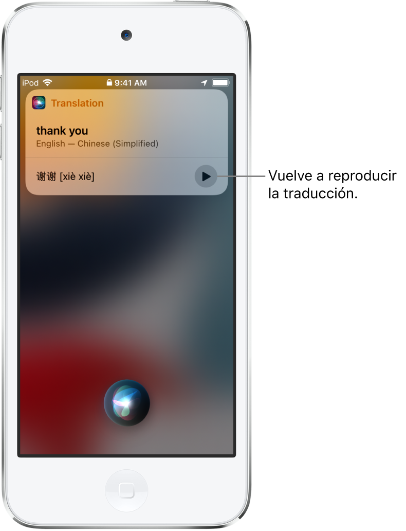 Siri muestra una traducción de la frase “gracias” en chino mandarín. Un botón situado a la derecha de la traducción reproduce el audio de la traducción.