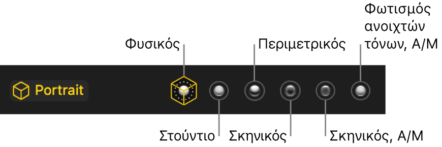 Επιλογές εφέ φωτισμού σε λειτουργία Πορτρέτου, συμπεριλαμβανομένων (από αριστερά προς τα δεξιά) των επιλογών «Φυσικός», «Στούντιο», «Περίγραμμα», «Σκηνικός», «Σκηνικός, Α/Μ» και «Φωτισμός ανοιχτών τόνων Α/Μ».