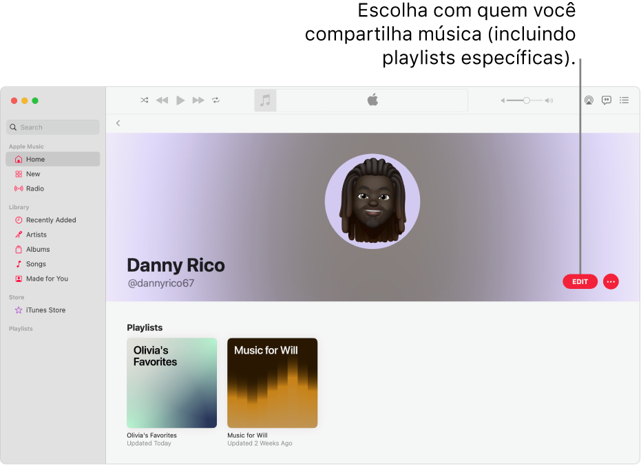 Página de perfil no Apple Music: no lado direito da janela, clique em Editar para escolher quem pode seguir você. À direita de Editar, clique no botão Mais para compartilhar a sua música.