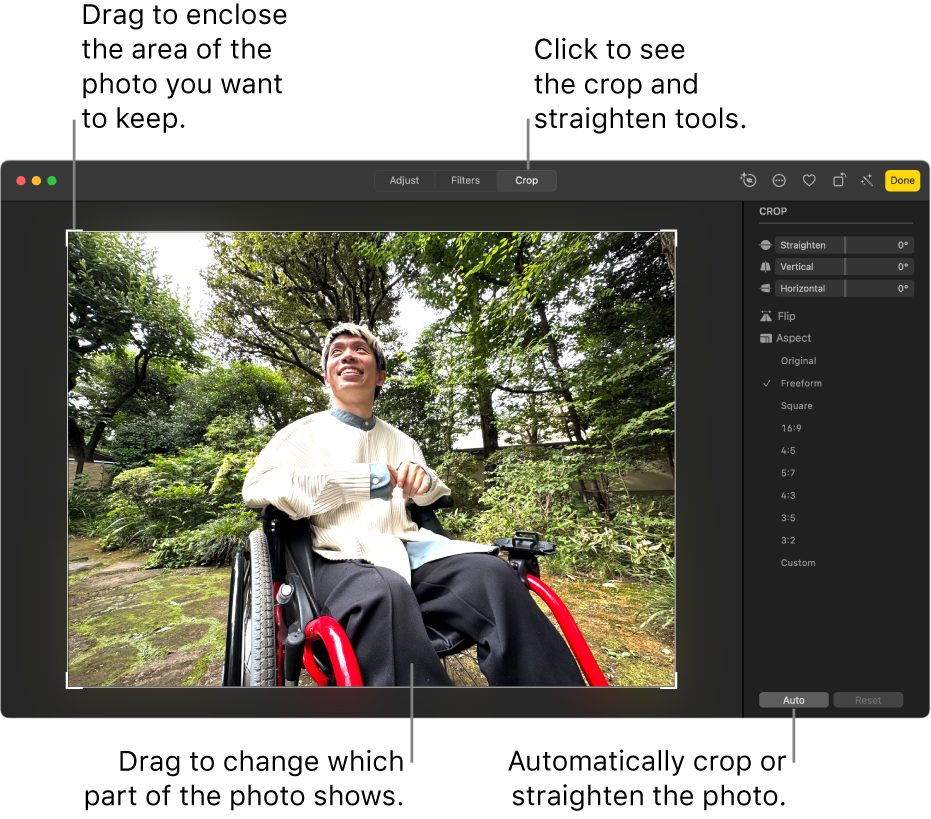 A photo in editing view, with Crop selected in the toolbar, a selection rectangle around the photo and straightening sliders, aspect ratio options, and Auto and Reset buttons on the right.