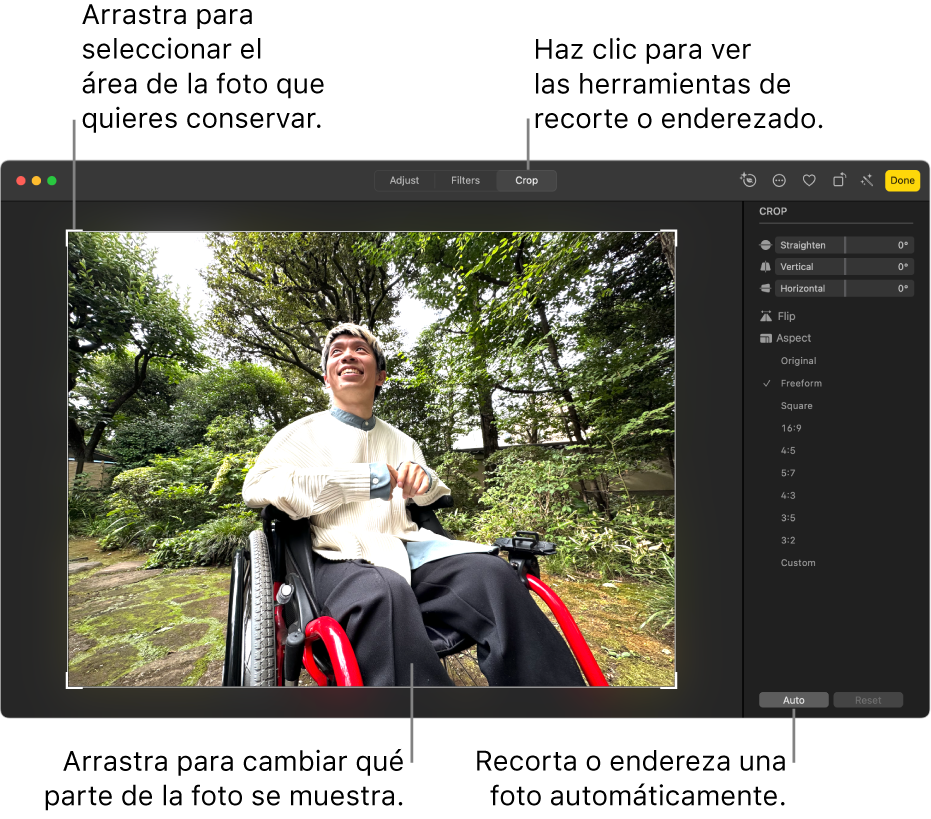 Una foto en la vista de edición, con Recortar seleccionado en la barra de herramientas, un rectángulo de selección alrededor de la foto, reguladores de enderezamiento, opciones de proporciones de aspecto y los botones Automático y Restablecer.