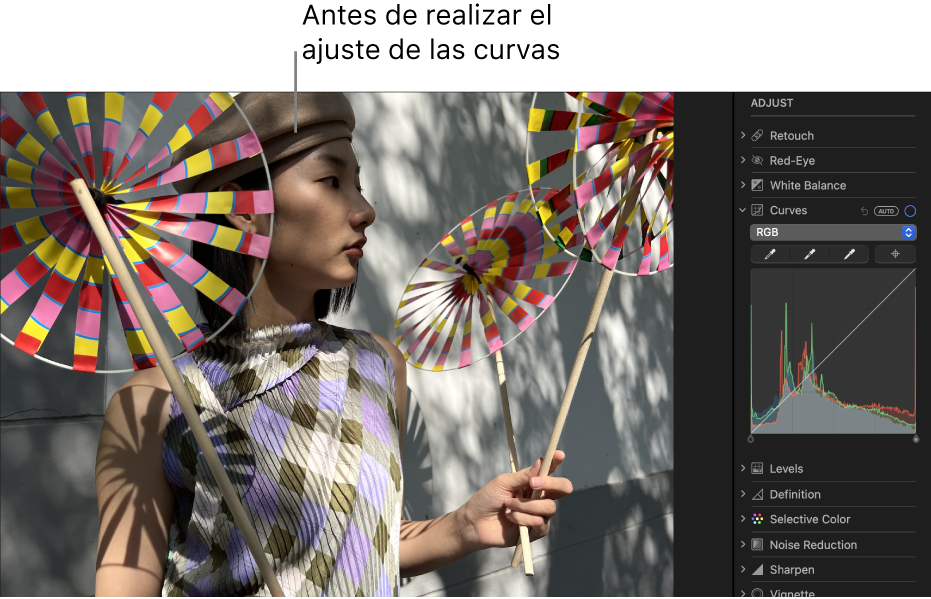Una foto antes de ajustar Curvas.