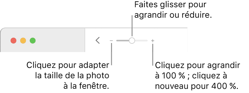 La barre d’outils affichant les commandes Réduire/agrandir.