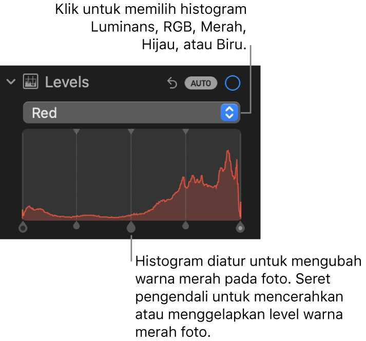 Kontrol Level di panel Sesuaikan, menampilkan histogram Merah dengan pengendali di bawah untuk menyesuaikan level merah foto.