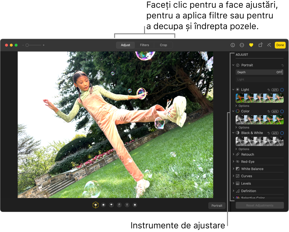 O poză în vizualizarea de editare, cu butonul Ajustare selectat în bara de instrumente și instrumentele de ajustare în dreapta.