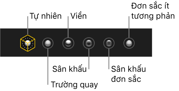 Các lựa chọn hiệu ứng chiếu sáng ở chế độ Chân dung, bao gồm (từ trái sang phải) Tự nhiên, Trường quay, Viền, Sân khấu, Sân khấu đơn sắc và Đơn sắc ít tương phản.