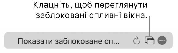 Поле динамічного пошуку з кнопкою, що дає змогу відображати заблоковані спливні вікна.