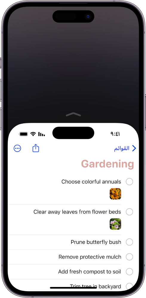 شاشة iPhone تم تنشيط تسهيل الوصول عليها. تم تحريك الجزء العلوي من الشاشة إلى أسفل بحيث يمكن الوصول إليه بإبهامك بسهولة.