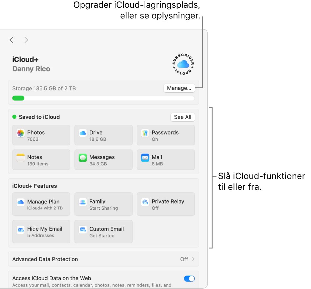 Indstillingerne til iCloud med alle funktioner slået til.