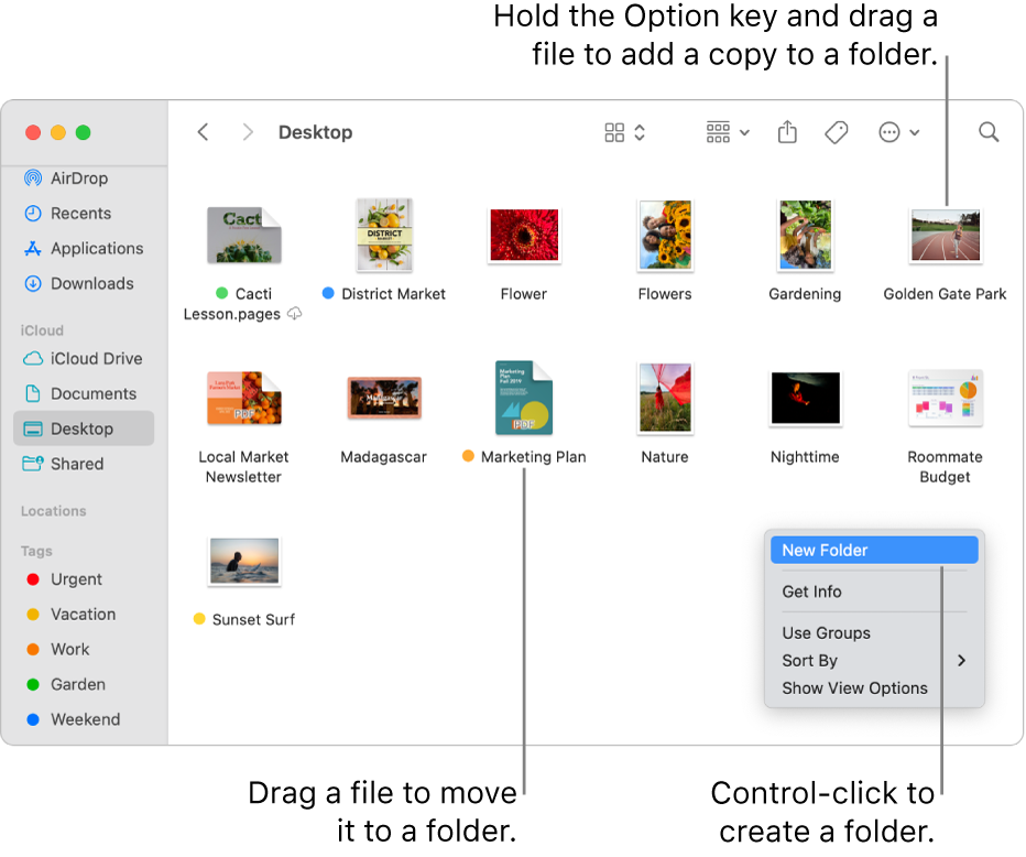 A Finder window containing files and folders. In the shortcut menu, New Folder is highlighted.