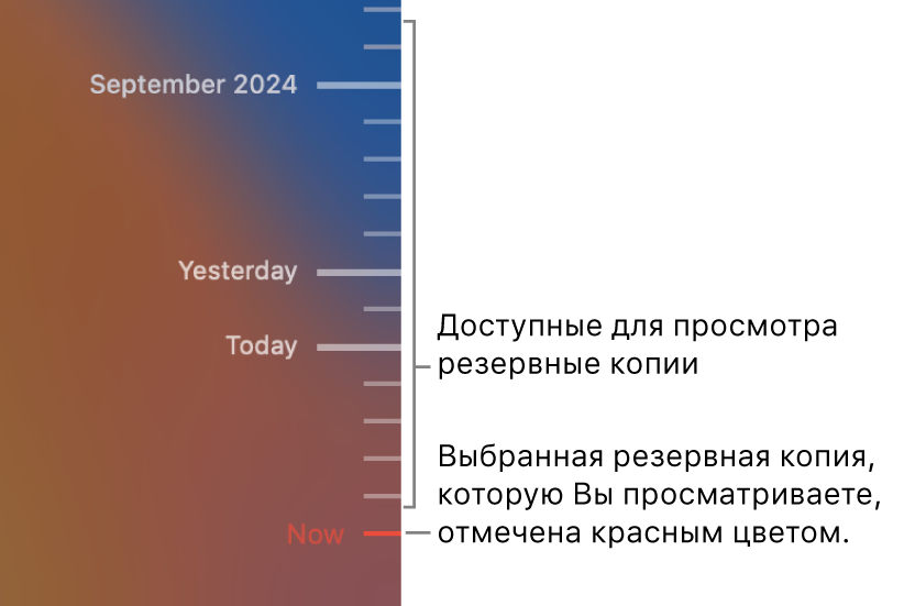 Деления на шкале времени резервного копирования. Красной галочкой помечена та резервная копия, которую Вы просматриваете.