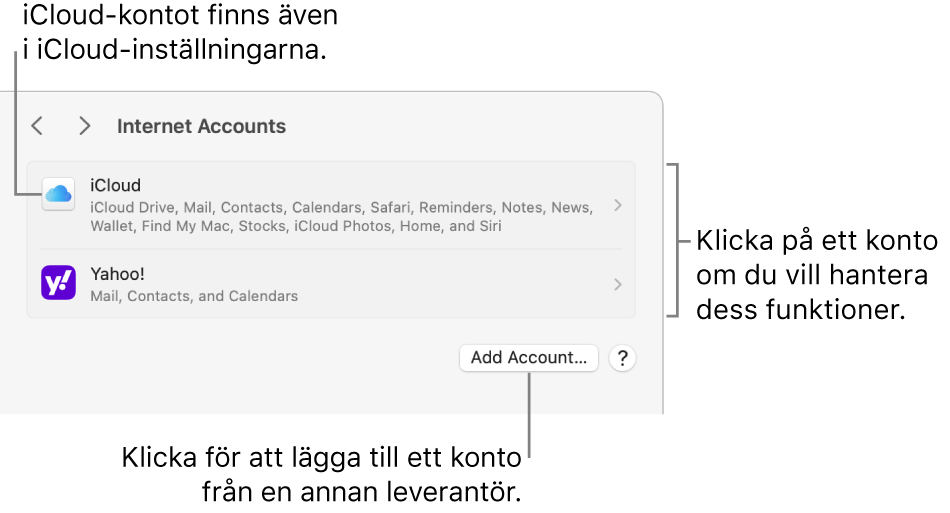 Inställningarna Internetkonton med en lista över inställda konton på datorn.