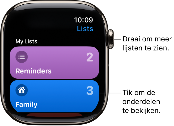 Het Lijst-scherm in de Herinneringen-app, met twee lijstknoppen: 'Gezin' en 'Thuis'. Een getal aan de rechterkant geeft aan hoeveel herinneringen er in elke lijst staan. Tik op een lijst om de onderdelen in de lijst te bekijken of draai de Digital Crown om meer lijsten weer te geven.