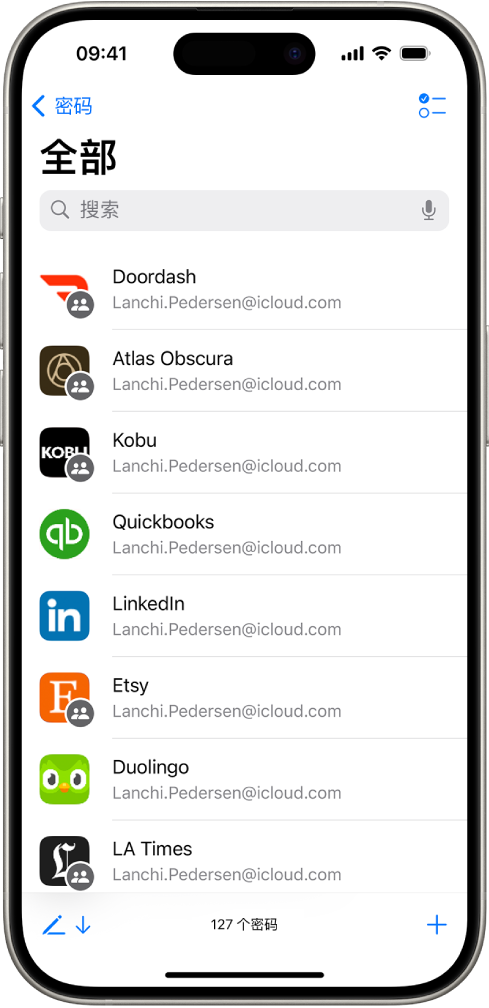 “密码” App 中储存的带有密码的所有账户列表。