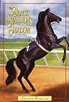 The Black Stallion's Shadow (Black Stallion Returns, #1)