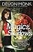 Magic in the Shadows (Allie Beckstrom, #3)