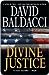 Divine Justice (Camel Club, #4)