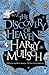 The Discovery of Heaven by Harry Mulisch