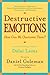 Destructive Emotions by Daniel Goleman