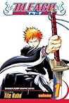 Bleach, Vol. 1