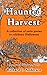 Haunted Harvest: A collection of eerie poems to celebrate Halloween