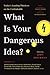 What Is Your Dangerous Idea...