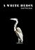 A White Heron