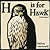 H is for Hawk