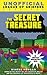 The Secret Treasure (An Unofficial League of Griefers Adventure, #1)