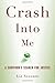 Crash Into Me by Liz Seccuro