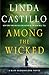 Among the Wicked (Kate Burkholder #8)