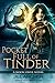 Pocket Full of Tinder (Noon Onyx, #4)