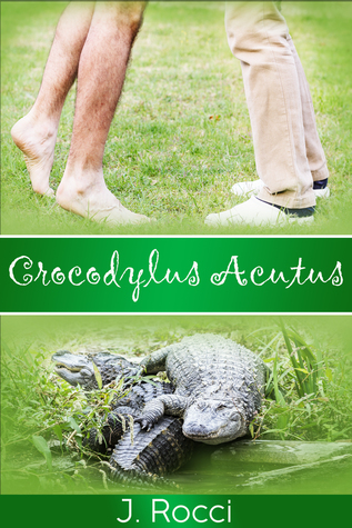 Crocodylus Acutus by J. Rocci