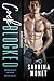 Cock Blocked (Jetsetter Series Book 1)