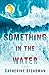 Something in the Water by Catherine Steadman