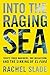 Into the Raging Sea: Thirty-Three Mariners, One Megastorm, and the Sinking of the El Faro