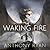 The Waking Fire (The Draconis Memoria, #1)