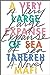 A Very Large Expanse of Sea