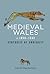 Medieval Wales c.1050–1332: Centuries of Ambiguity (Rethinking the History of Wales)