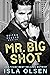 Mr. Big Shot (Suits & Sevens, #1)