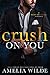 Crush on You (Bliss Brothers, #1)