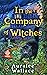 In the Company of Witches (Evenfall Witches B&B, #1)