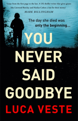 You Never Said Goodbye by Luca Veste